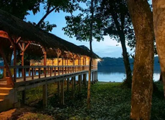 central-african-republic/sangha-river/landmark/dzanga-ndoki-national-park