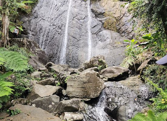 puerto-rico/el-yunque-national-forest/landmark/el-portal-de-el-yunque-visitor-center-el-yunque-national-forest