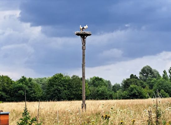 germany/hannover/bothfeld/landmark/laher-wiesen