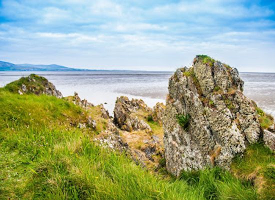 ireland/county-louth/landmark/ladywell-shrine