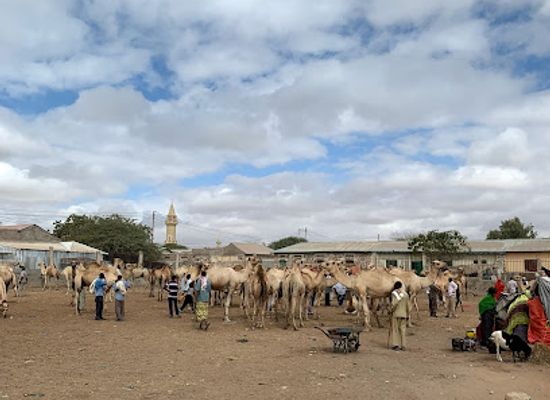 somalia/woqooyi-galbeed/landmark/livestock-market