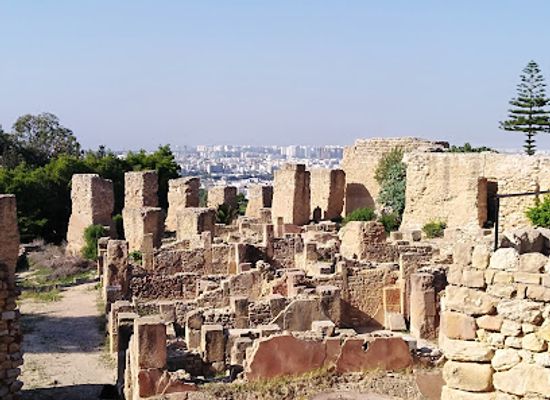 tunisia/the-tell/landmark/quartier-punique-de-byrsa