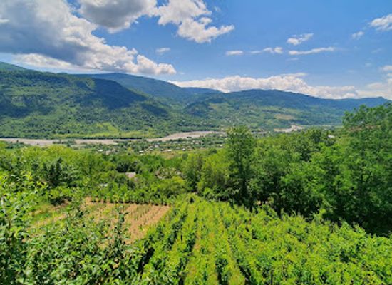 georgia/racha-lechkhumi-and-kvemo-svaneti/landmark/sad-meli-winery