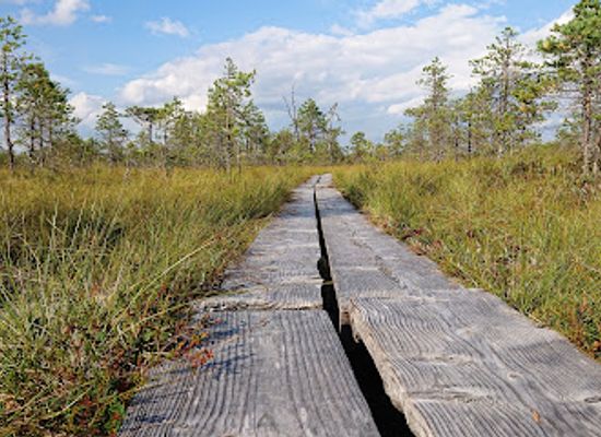 finland/jyvaskyla/landmark/leivonmaki-national-park