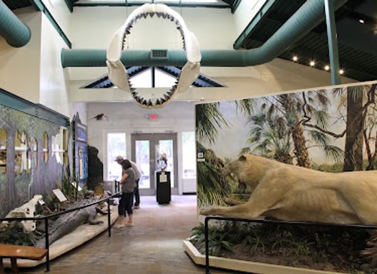 florida/ocala/landmark/silver-river-museum-environmental-education-center