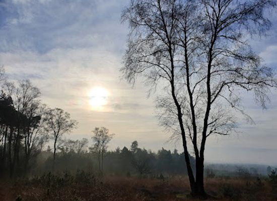 netherlands/veluwe/landmark/schenkenshul