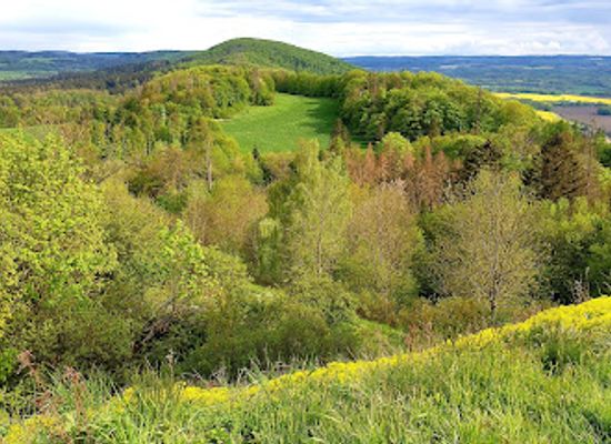 czechia/czech-forest/landmark/zelezne-hory