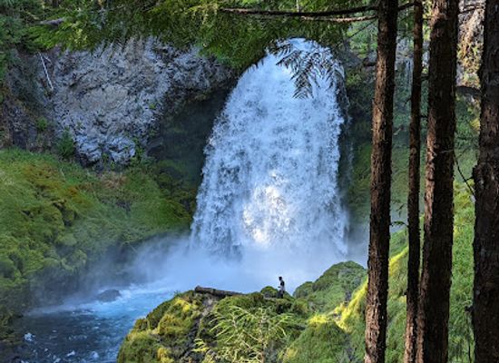 oregon/marion-county/landmark/willamette-national-forest