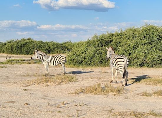 botswana/kgalagadi-transfrontier-park/landmark/chobe-national-park