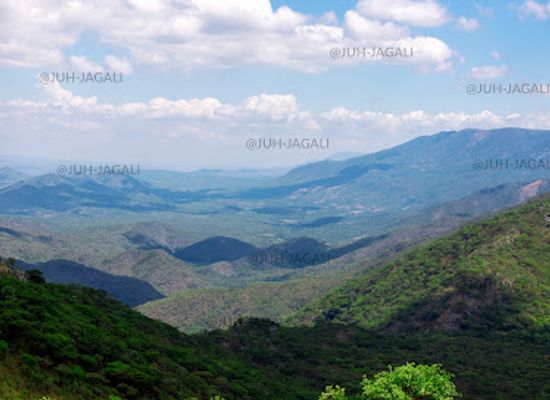 malawi/zomba-plateau/landmark/nyika-plateau