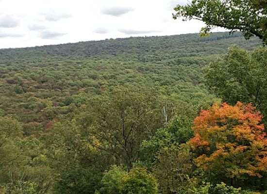 pennsylvania/laurel-highlands/landmark/powdermill-nature-reserve