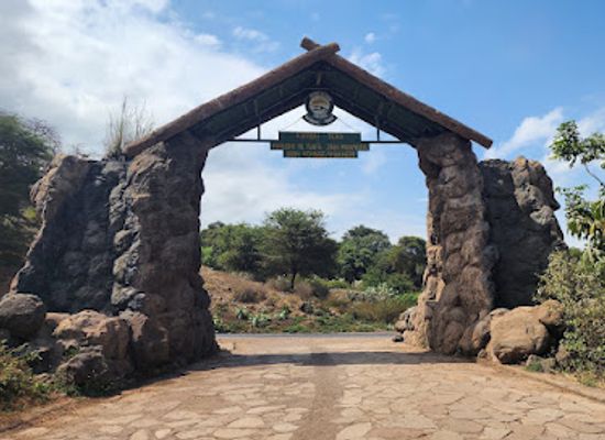 tanzania/central-zone/landmark/lake-manyara-national-park