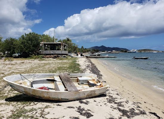 british-virgin-islands/beef-island/landmark/loose-mongoose