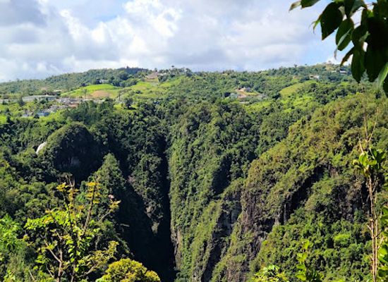puerto-rico/caribbean-national-forest/landmark/canon-san-cristobal-para-la-naturaleza