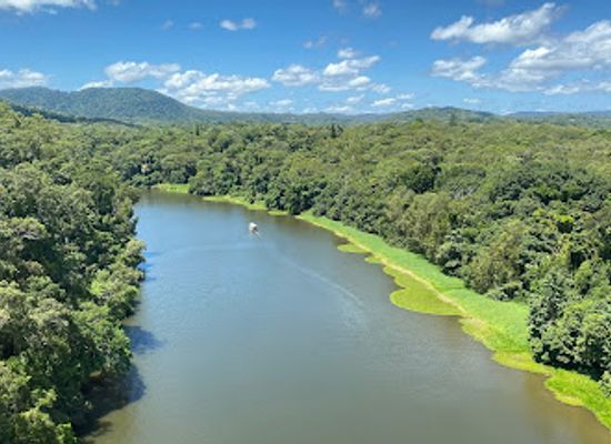 australia/far-north-queensland/landmark/skyrail-rainforest-cableway