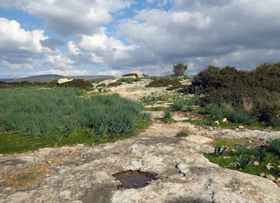 cyprus/paphos-forest/landmark/meletis-forest-necropolis