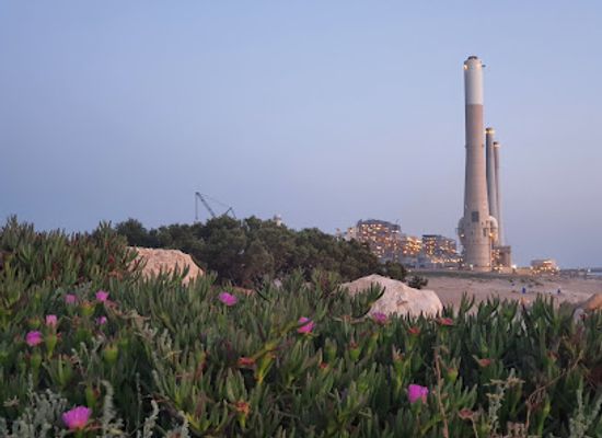 israel/caesarea/caesarea-golf-country-club/landmark/gold-coast-caesarea