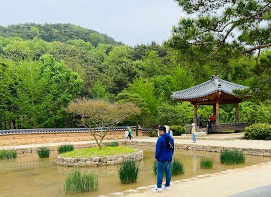 south-korea/daegu/landmark/daegu-arboretum