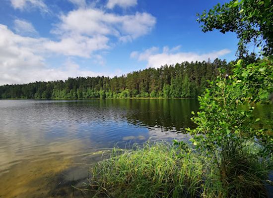 estonia/laane-virumaa/landmark/viitna-nature-trail