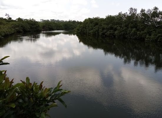 gabon/estuary-province/landmark/gabon-estuary
