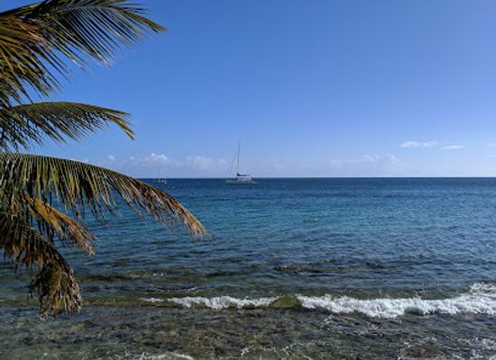 puerto-rico/vieques-island/landmark/lazy-jacks