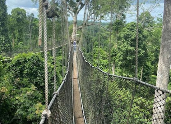 ghana/wala/landmark/kakum-national-park