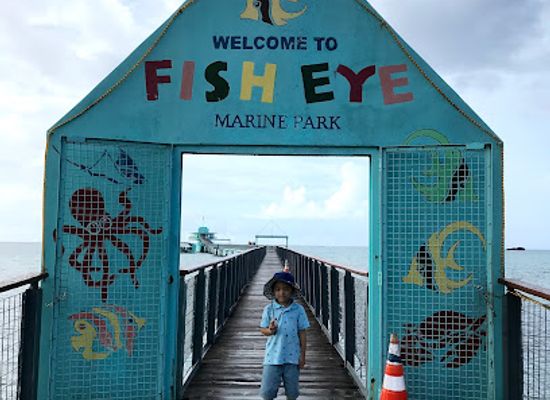 guam/mangilao/landmark/fish-eye-underwater-observatory
