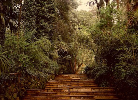uruguay/sierra-de-minas/landmark/reserva-natural-salus-park