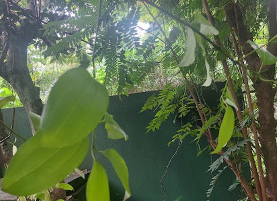 sri-lanka/bentota/landmark/spice-and-herbal-garden