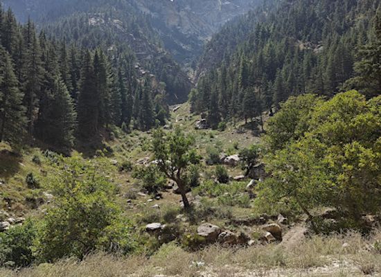 afghanistan/nuristan-province/landmark/nuristan-national-park