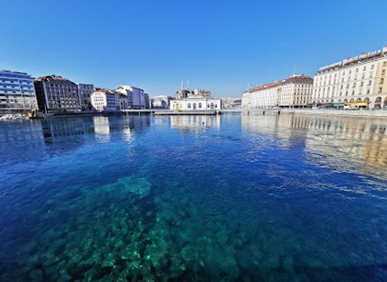 switzerland/lake-geneva-region/landmark/ile-rousseau
