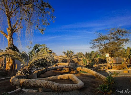 peru/ica/landmark/palmera-7-heads