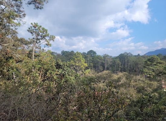 mexico/lacandon-jungle/landmark/parque-ecoturistico-rancho-nuevo