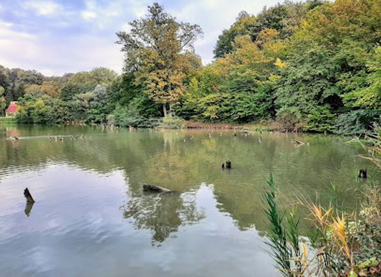 hungary/mecsek/landmark/nyugat-mecsek-landscape-protection-area