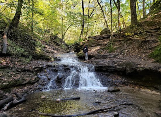 wisconsin/glacial-lake-wisconsin/landmark/parfrey-s-glen-state-natural-area
