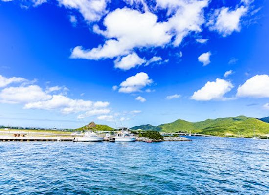 sint-maarten/cul-de-sac/landmark/dinghy-dock-sailors-bar