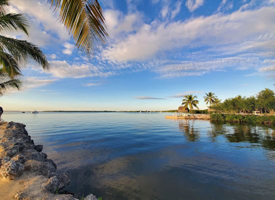 florida/key-largo/landmark/dolphins-plus-bayside