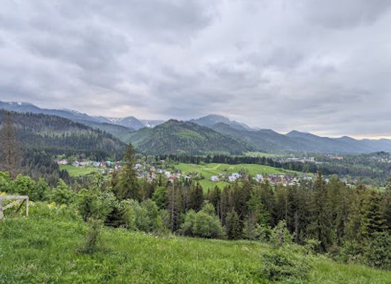 poland/tatra-mountains/landmark/swiecacy-napis-zakopane