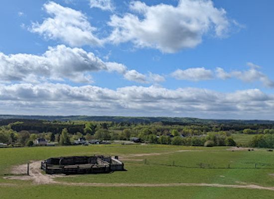 denmark/samso/attraction/silkeborg-rovfugleshow