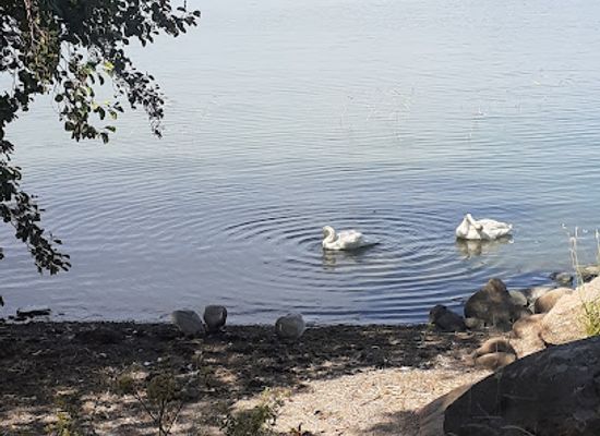 finland/turku/naantali/landmark/bench-with-view