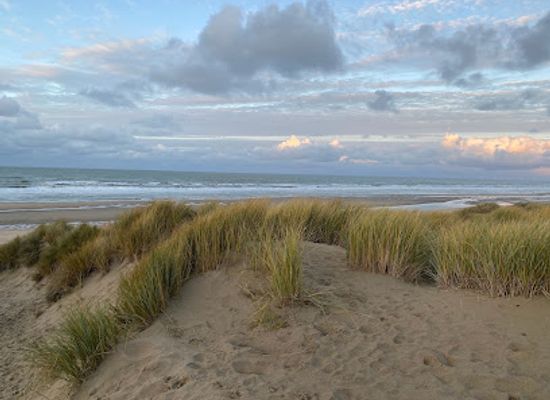 belgium/de-haan/landmark/steps-to-dunes