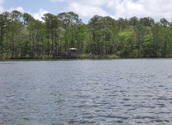 alabama/alabama-coastal-birding-trail/landmark/weeks-bay-national-estuarine-research-reserve