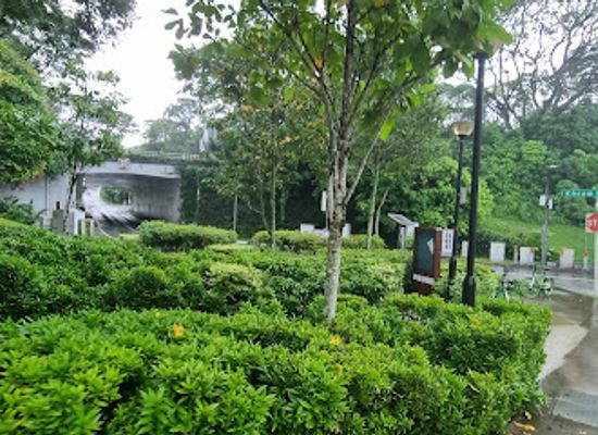 singapore/macritchie-reservoir/landmark/kheam-hock-tunnel-u-turn-point