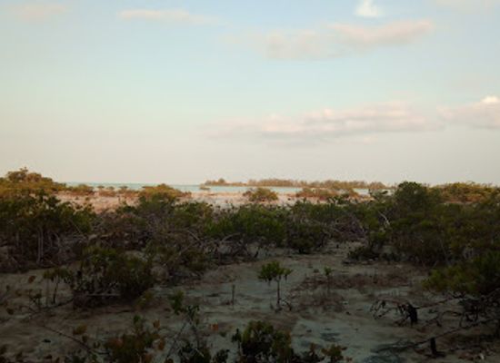 the-bahamas/andros-town/landmark/crab-replenishment-reserve