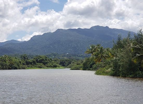 puerto-rico/yunque-national-forest/landmark/playa-fortuna