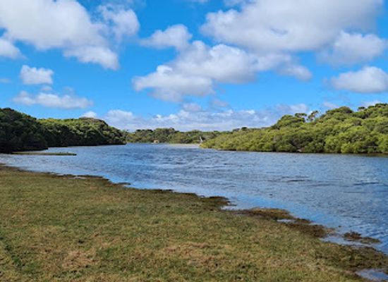 australia/kangaroo-island/landmark/lashmar-conservation-park