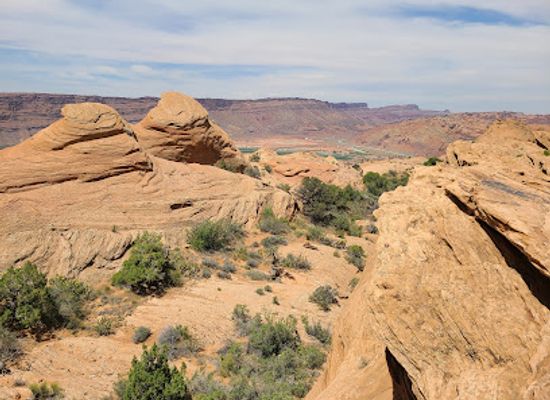 utah/moab/landmark/slickrock-bike-trail