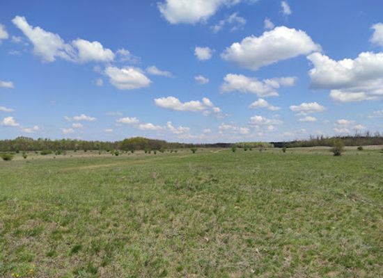 hungary/hajdusag/landmark/hajdubagosi-foldikutya-rezervatum-termeszetvedelmi-terulet