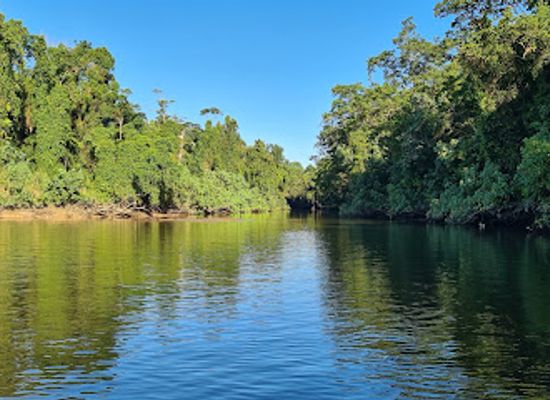 australia/daintree-rainforest/landmark/bruce-belcher-son-daintree-river-cruises