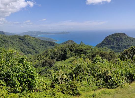 seychelles/la-digue/landmark/mission-lodge-cemetery